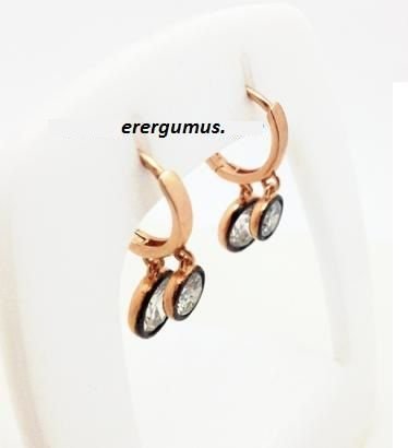 2 Taşlı rose gümüş Küpe