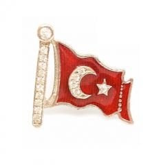 Gümüş Ay yıldızlı Rozet
